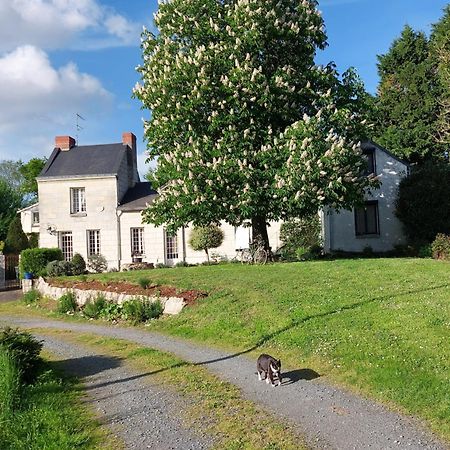 Chambres D'Hotes De L'Ile Du Saule Сомюр Экстерьер фото